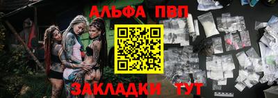 ешки Кингисепп