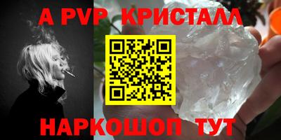 ешки Кингисепп
