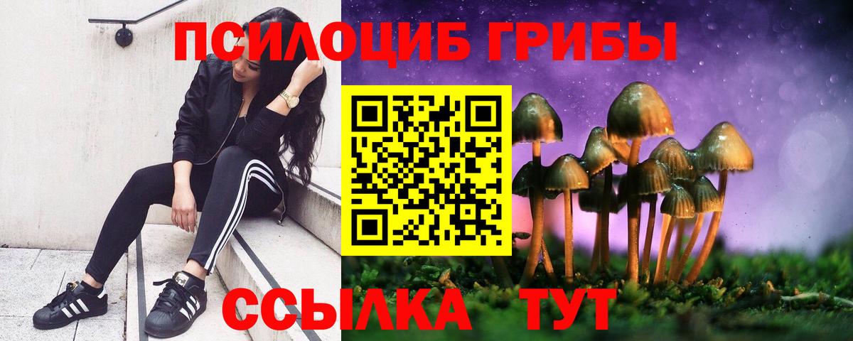 Касимов  Псилоцибиновые грибы Magic Shrooms  наркошоп  Вход с VPN 